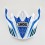 Recambio Shoei Visera V-430 Vfx-W Werx Tc2 |24SVSRWRX2|