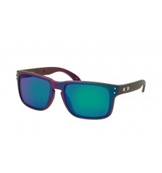 Gafas de Sol Oakley Holbrook Verde Purpura |OO9102T4|