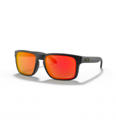 Gafas Oakley Holbrook Negro Mate Prizm Ruby |OO9102-E2|