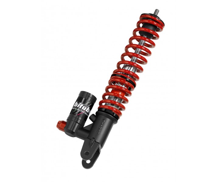 YLV Rear Shocks BITUBO /13101420/