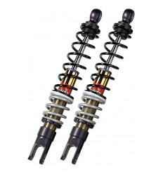 YGB Series shock absorbers BITUBO /13101425/