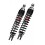 WGE Rear Shocks BITUBO /13101429/