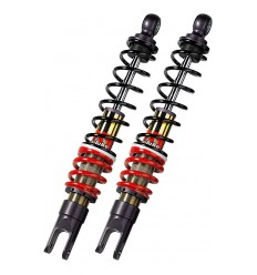 YGB Series shock absorbers BITUBO /13101438/