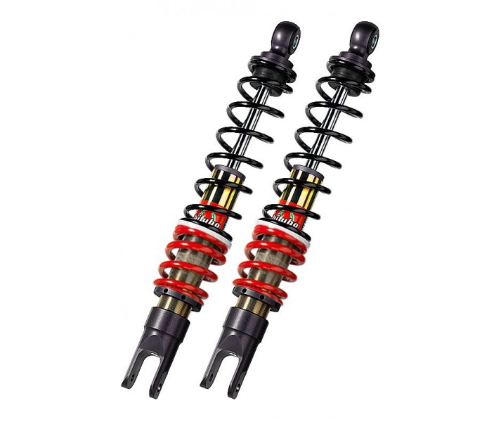 YGB Series shock absorbers BITUBO /13101438/