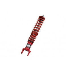 Rear Shocks w/springs BITUBO /13102075/