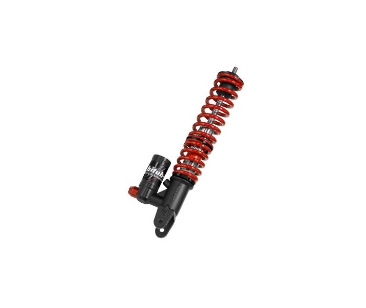 Rear Shocks w/springs BITUBO /13102076/