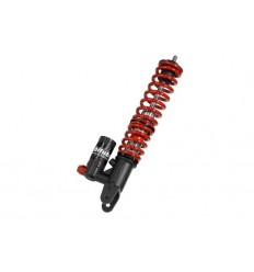 Rear Shocks w/springs BITUBO /13102078/