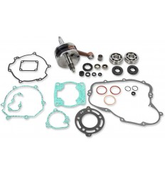 Kit reparación parte baja motor HOT RODS /09210573/