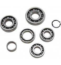 Transmission Bearing Kit HOT RODS /11060233/