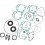 Complete Engine Gasket Set WINDEROSA /711255/