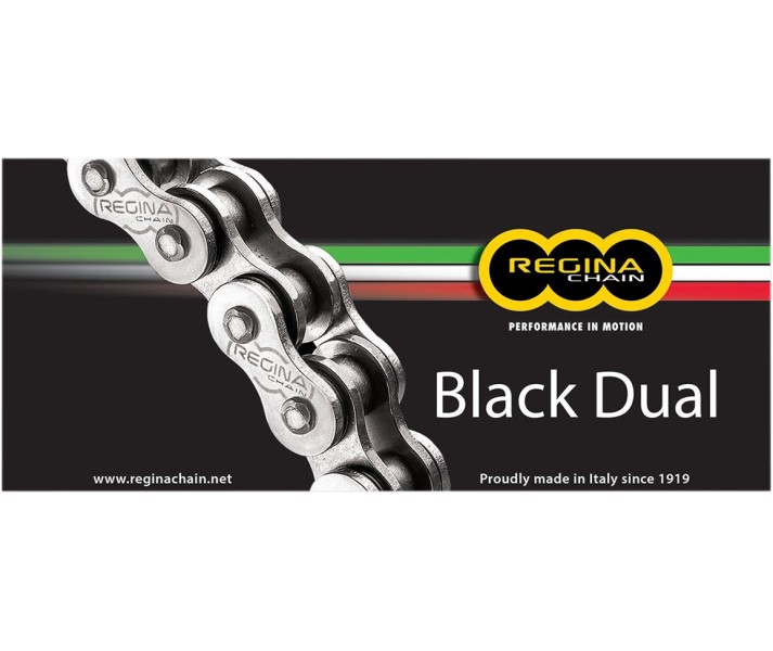 520 ZRA Series Chain Regina /12240181/