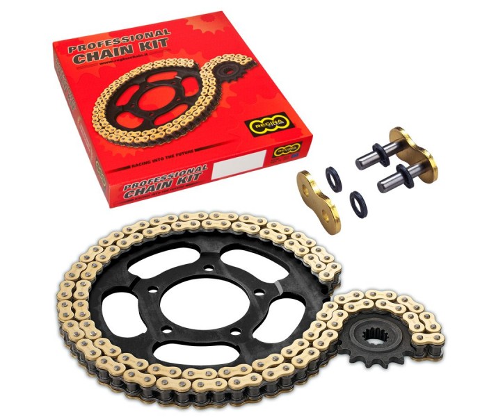 520 ORN6 Chain And Sprocket Kit Regina /12300394/