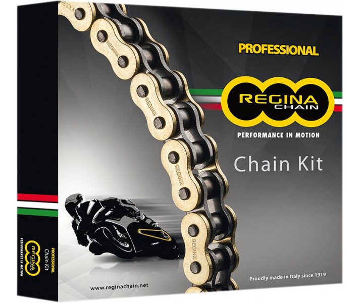 Kit de cadena y corona/piñón Regina /12300412/