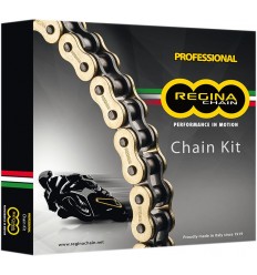 530 ZRT Chain And Sprocket Kit Regina /12301493/