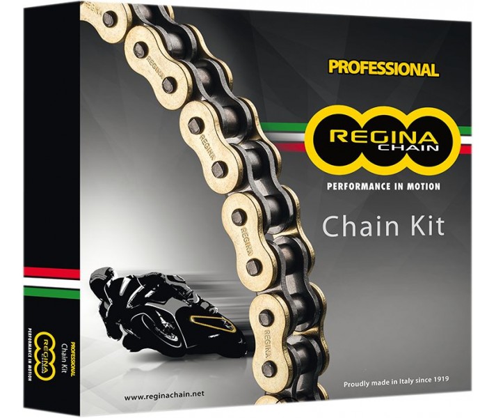 525 ZRP Chain And Sprocket Kit Regina /12301495/