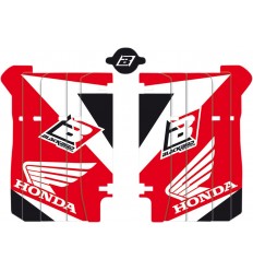 Adhesivos para aletines de radiador Blackbird Racing /43025045/