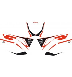 Dream 4 Pre-Cut Number Plates with Graphics Blackbird Racing /43100821/
