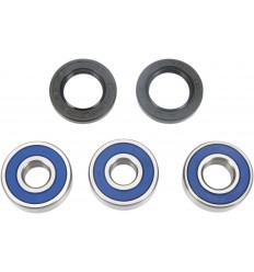 Kit de rodamientos de rueda ALL BALLS /02150032/