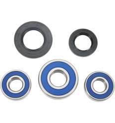 Kit de rodamientos de rueda ALL BALLS /02150035/