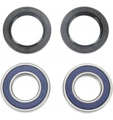 Kit de rodamientos de rueda ALL BALLS /02150036/