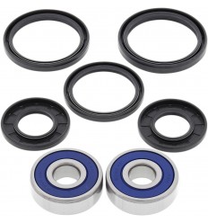 Kit de rodamientos de rueda ALL BALLS /02150043/