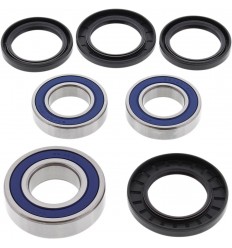 Kit de rodamientos de rueda ALL BALLS /02150062/