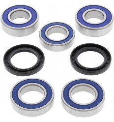Kit de rodamientos de rueda ALL BALLS /02150146/