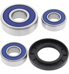 Kit de rodamientos de rueda ALL BALLS /02150841/