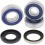 Kit de rodamientos de rueda ALL BALLS /02150847/