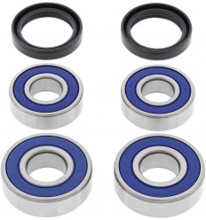 Kit de rodamientos de rueda ALL BALLS /02150856/