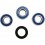 Kit de rodamientos de rueda ALL BALLS /02150877/