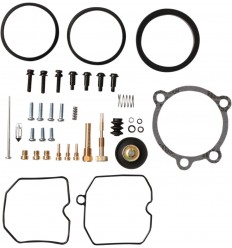 Kit carburador ALL BALLS /10031271/