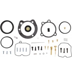 Kit carburador ALL BALLS /10031273/