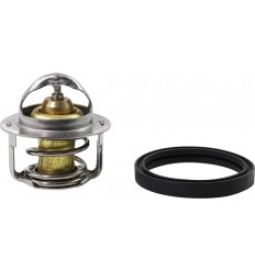 Thermostat ALL BALLS /19021705/