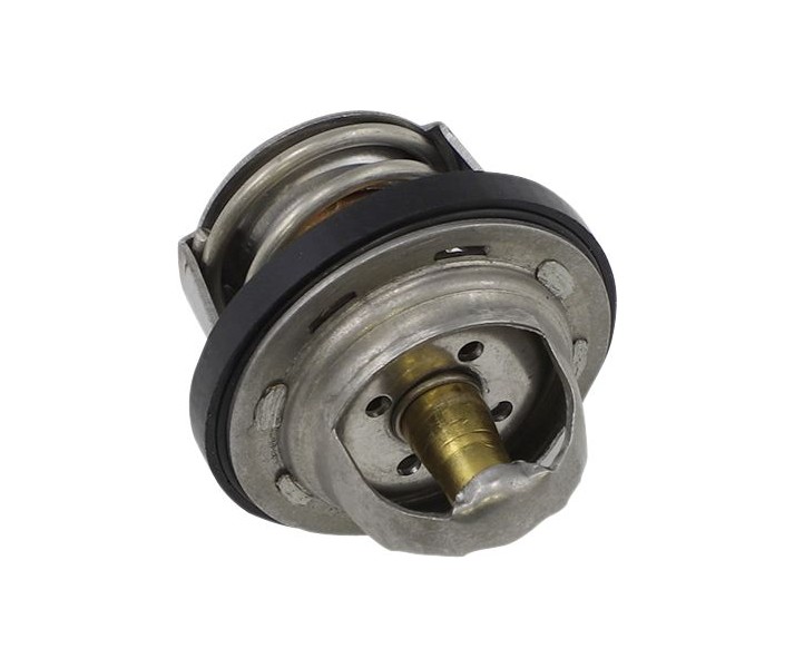 Thermostat ALL BALLS /19021706/