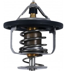 Thermostat ALL BALLS /19021707/