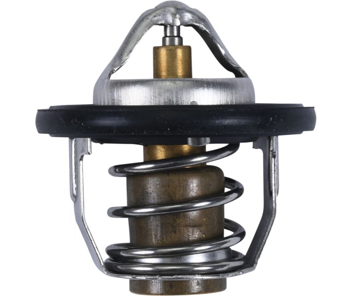 Thermostat ALL BALLS /19021708/