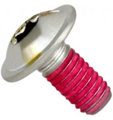 Replacement Exhaust Bolt AKRAPOVIC /18601161/