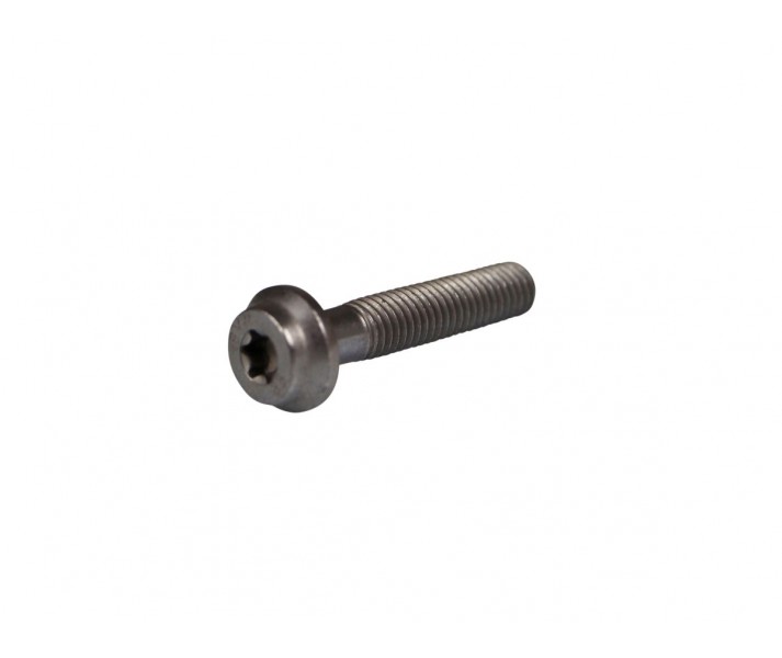 Bolt AKRAPOVIC /18601504/