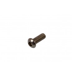 Bolt AKRAPOVIC /18601669/