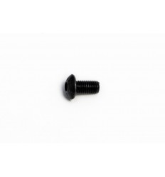 Bolt AKRAPOVIC /18601969/