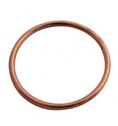 Exhaust Gasket AKRAPOVIC /18602196/