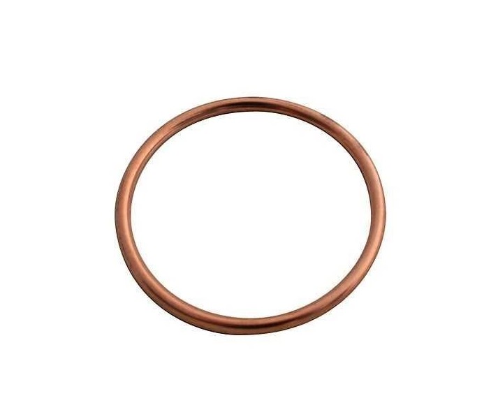 Exhaust Gasket AKRAPOVIC /18602196/