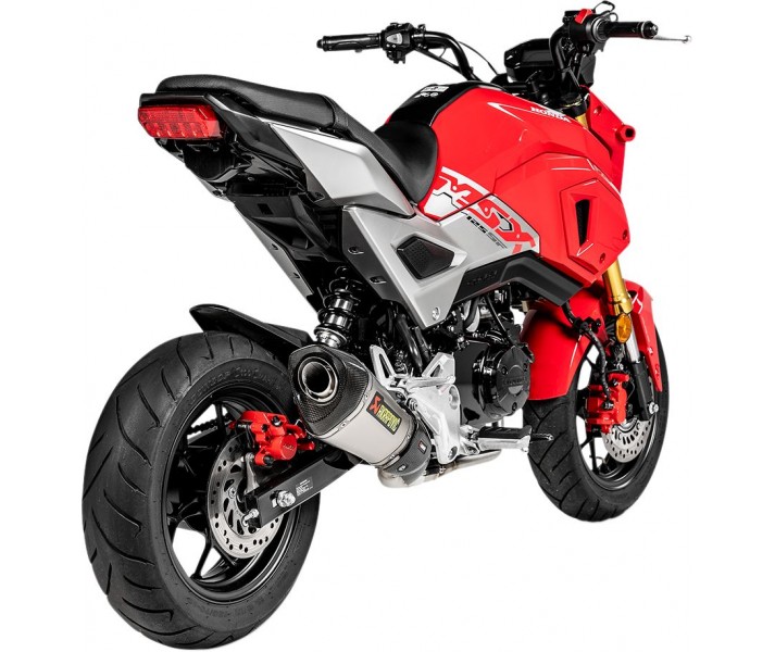 Racing Line Exhaust System AKRAPOVIC /18102661/