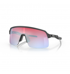 Gafas Oakley Sutro Lite Carbono Mate Lente Prizm Snow Sapphire |OO9463-1739|