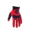 Guantes Fox Dirtpaw Rojo Fluor |31324-110|