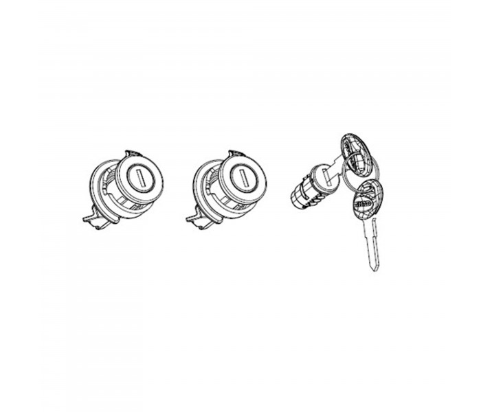 Bombines Shad SP Standard |203134R1|